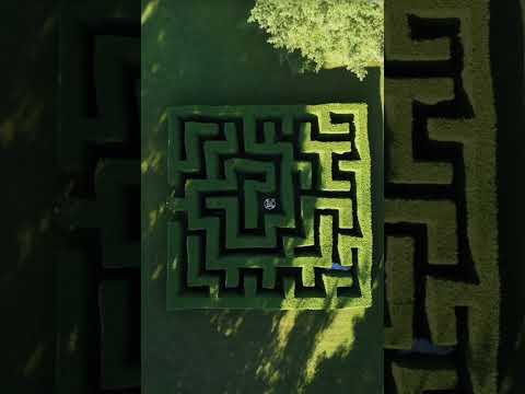 See this beautiful reunion of two lovers in this maze. Would you like to go in such maze? #shorts