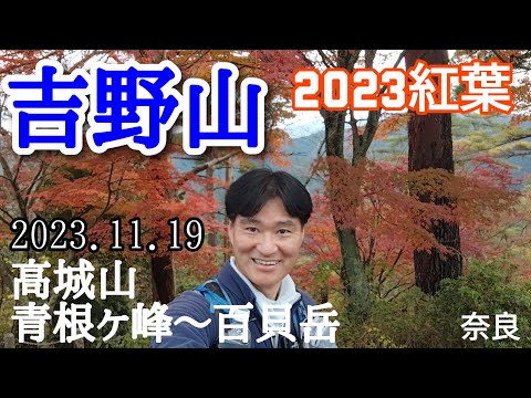 吉野山 2023紅葉  青根ヶ峰〜百貝岳へ