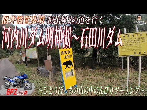 【Vol#226】GPZ900Rで走る福井滋賀県境河内川ダム明神湖&石田川ダム。獣感満載の道を走る山の中の自然を感じるのんびりツーリング【日帰りツーリング】【福井】【滋賀】