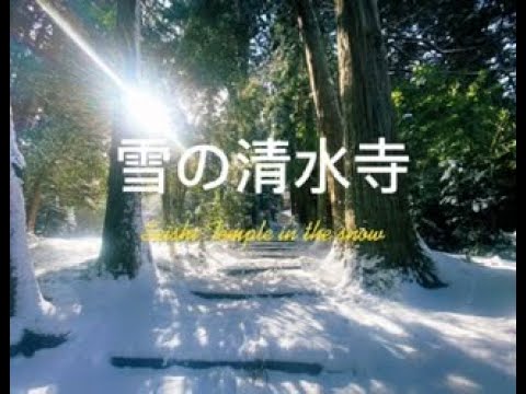 佐渡新穂清水寺の雪景色❄️先日、大雪☃️の日に新穂大野の清水寺を訪ねました。美しすぎる😍