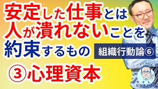 安定就職って、組織じゃなくて、個人が潰れない事でしょ？「心理資本」とは何か解説【組織行動論6】