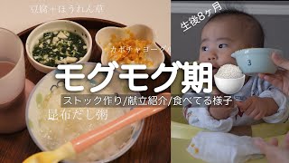 【モグモグ期まとめ】離乳食中期のストック作りやメニュー紹介🌿Q＆A【生後7･8ヶ月】