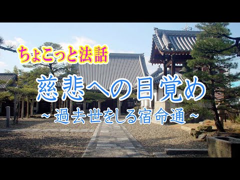 ちょこっと法話「慈悲への目覚め～過去世をしる宿命通～」