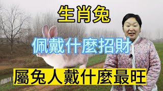 生肖兔！屬兔人佩戴什麼招財？屬兔人戴什麼最旺？生肖屬相兔佩戴正確了！正財橫財滾滾來！#運勢 #招財 #風水