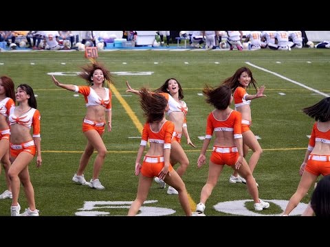 チア2014 LIXIL DEERS CHEERLEADERS HALFTIME SHOW