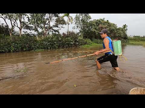 Hunting for Big Carps | Hunting Giant Fish