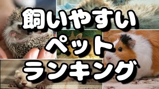 一人暮らしにもオススメ！飼いやすいペットランキング