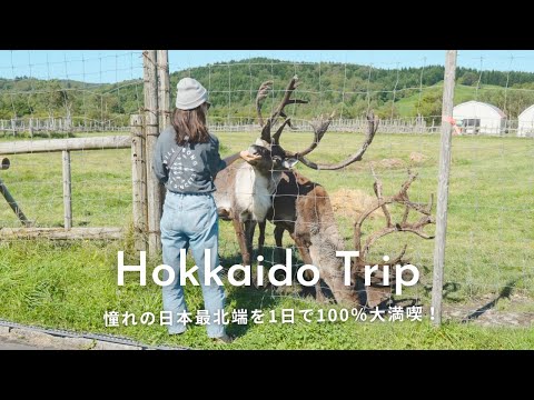 [Japan Road Trip] Car camping in a homemade car