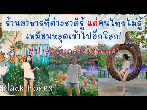 พาเที่ยวทานข้าวร้านลับพัทยา ที่คนไทยแทบไม่รู้ บรรยากาศดีๆ ดนตรีสดก็ฟิน | Black Forest Pattaya