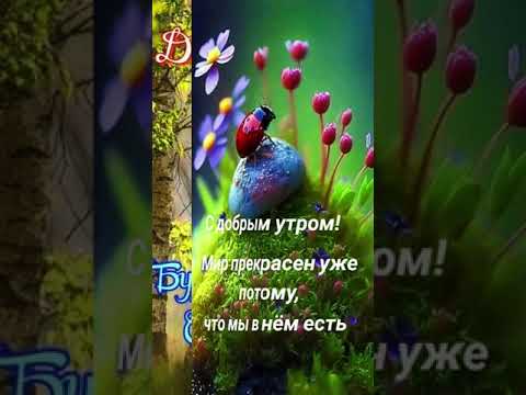 С добрым, прекрасным утром!!!