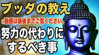 努力の代わりにするべき事｜ブッダの教え