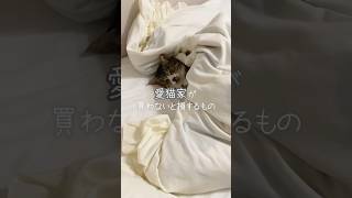 愛猫家が買わないと損するもの Part2 #shorts