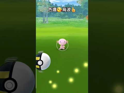 色違👍｜烏波｜等級還不錯｜社群日｜#pokémon #pokemongo #精靈寶可夢