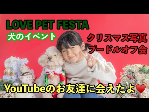 LOVE PET FESTAオフ会 お友達にも会えた♡素敵なクリスマス写真も撮ってもらったよ