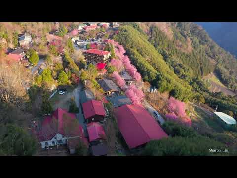 2021-尖石(司馬庫斯, 鎮西堡, 新光,  泰崗, 秀巒) Drone 4K