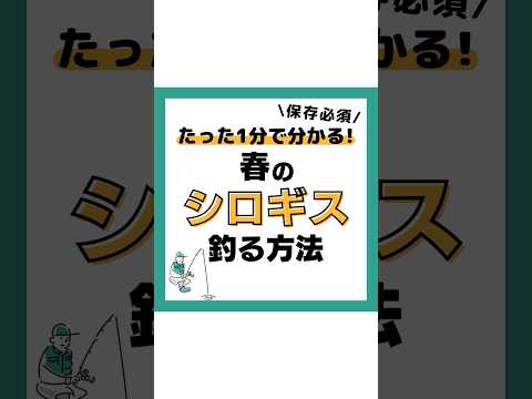 シロギスを釣る方法‼️ #釣り#海釣り#魚釣り#釣り初心者 #釣り好きな人と繋がりたい#ルアーフィッシング#ルアー釣り#釣り好き#釣り人#投げ釣り#シロギス#キス VOICEVOX:春日部つむぎ