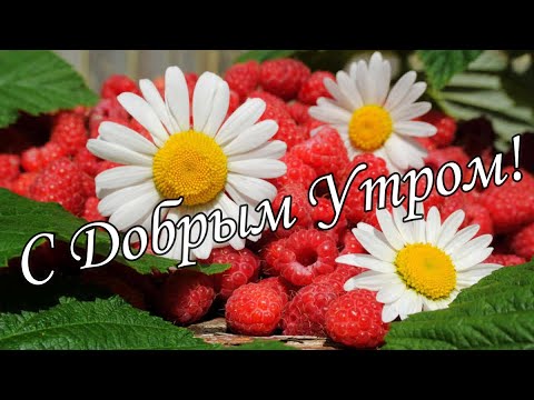 С ДОБРЫМ УТРОМ 11 Января!🌼Желаю Самого Доброго Солнечного Утра!🌼  Шикарная Музыкальная открытка 🌼