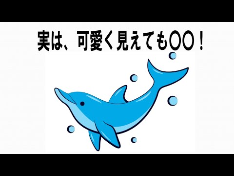 【絶対誰にも言えないここだけの雑学】42　ライフハック