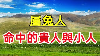 【十二生肖】屬兔人：命中的貴人與小人！