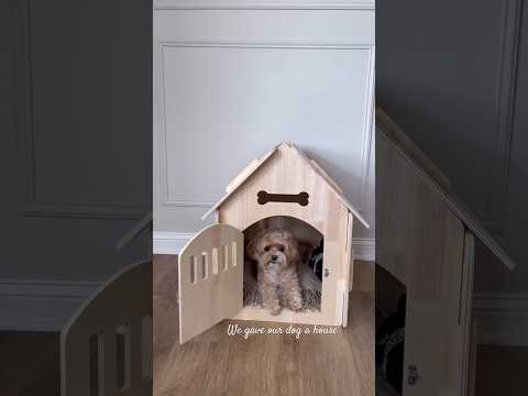 We have a new house #doghouse #homeinterior #neutralhomedecor #maltipoo