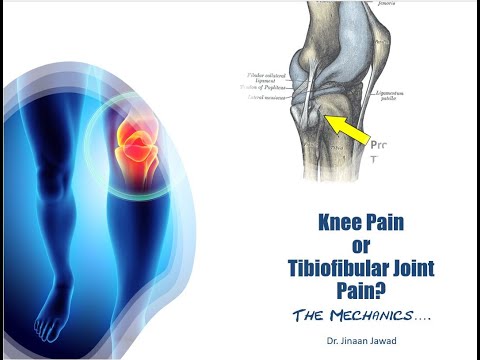 How To Treat Knee Pain? The Mechanics -- Part 1