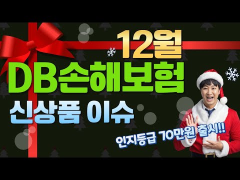 12월 DB손해보험 신상품이슈!! (인지등급 70만원출시)