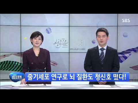 SBS 생활경제 2893회 줄기세포 치매 예방