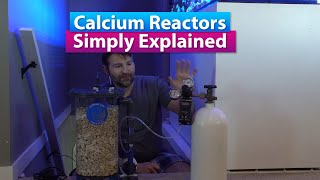 Calcium Reactors explained- Tuning, Setup, Dosing, do you need one?