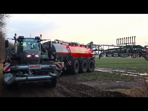 Gülle fahren 2024 mit Fendt Traktor und Wienhoff Tridem Fass / Mercedes und DAF LKW Zubringer