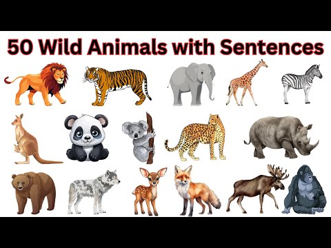 50 Wild Animals with Pictures | English Sentences | wild animal names | Kids Vocabulary | #animals