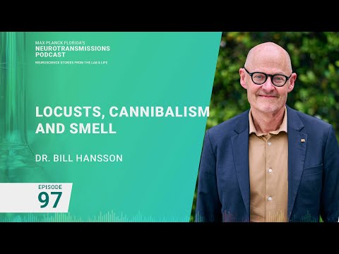 Podcast Episode 97 - Locusts, Smell and Cannibalism | Bill Hansson