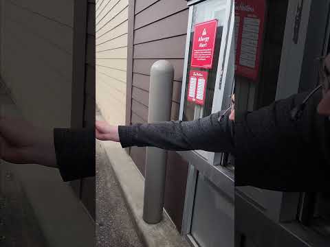 Staff at Drive-Thru Try to Feed Mini Horse