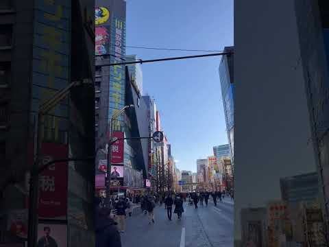 Sunday walk in Akihabara, Tokyo