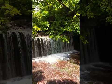 【癒し動画】大分県玖珠郡九重町　#阿蘇くじゅう国立公園　#松山千春　#shorts