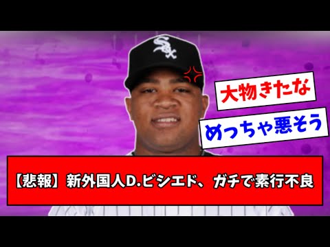 【神助っ人】中日、ビシエド獲得当時のなんJ反応ｗｗｗｗ