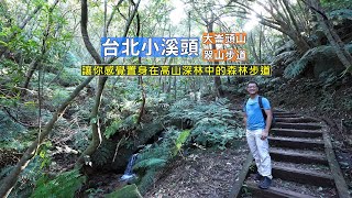 台北小溪頭讓你感覺置身在高山深林中的森林步道，帶你從士林翠山步道走到內湖碧山巖健行路線