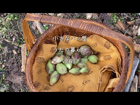 【暮らしvlog 85】春を見つけに花畑へ/オオイヌノフグリ/ふき味噌/焼きおにぎり