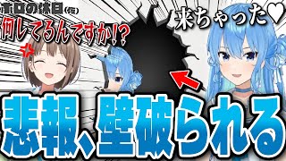 【破壊？】すいちゃんはのどかの家を壊したい。【#ホロの休日_仮】