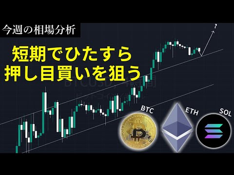 短期でひたすら押し目買いを狙う | ビットコイン・イーサリアム・ソラナの今週の相場分析とトレード戦略【11/24～11/30】【仮想通貨】