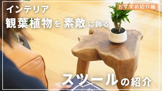 【素敵インテリア】観葉植物を素敵に飾れるおしゃれスツールのご紹介