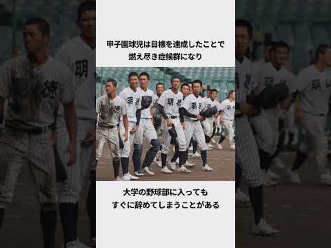 甲子園球児のその後の人生エピソード#子育て世代 #子育てあるある #雑学 #甲子園