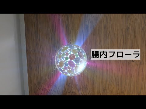 腸内フローラ～不思議な生命体～（全編）