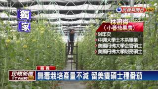 旅美碩士返鄉種番茄 無毒栽培產量多－民視新聞