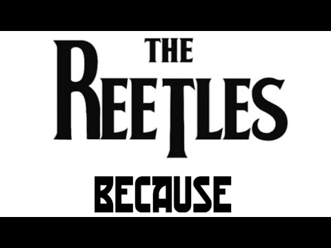 The Reetles - Because (DSP Song parody) DSP Throwback