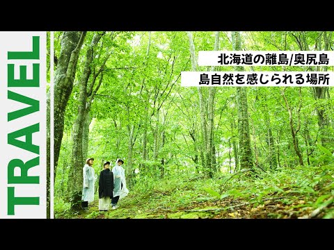 【奥尻島】ブナ林ツアー｜自然満喫｜ネイチャーガイド｜北海道｜ハコチャ