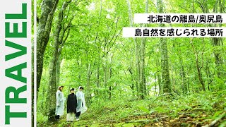 【奥尻島】ブナ林ツアー｜自然満喫｜ネイチャーガイド｜北海道｜ハコチャ