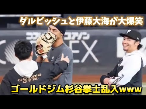 【豪華】みんな大爆笑！！ダルビッシュ有と伊藤大海とゴールドジム杉谷拳士の共演！