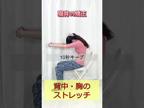 【猫背解消】背中・胸のストレッチ。肩甲骨を開いたり閉じたりして猫背と肩こりの解消ができるストレッチ#shorts