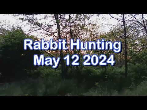 Dry Creek Hunting Dogs Rabbit Hunting May 12 2024