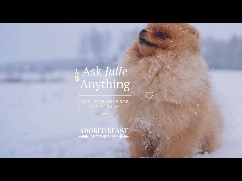 Ask Julie Anything - December 2024 Q & A Session